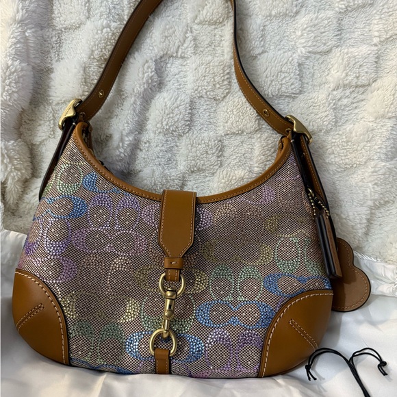 Coach Rainbow Candy Crystal Hamptons Hobo Bag - Picture 3 of 16